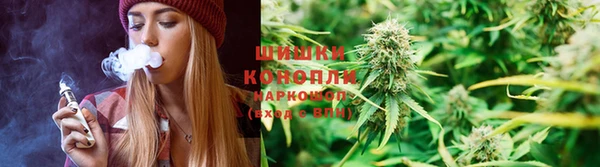 a pvp Магас