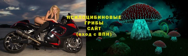 скорость Липки
