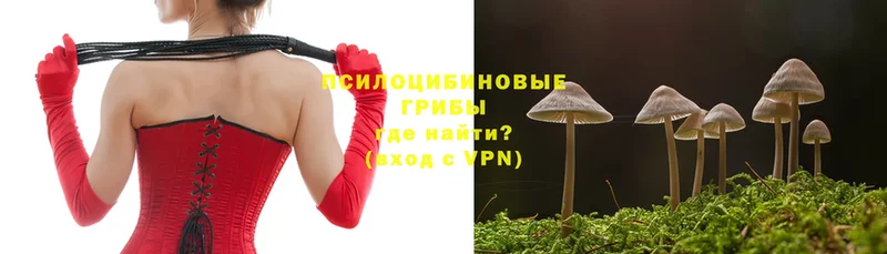 Галлюциногенные грибы MAGIC MUSHROOMS  Зима 