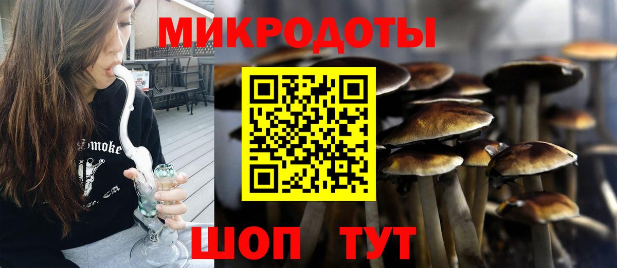 Галлюциногенные грибы GOLDEN TEACHER Зима