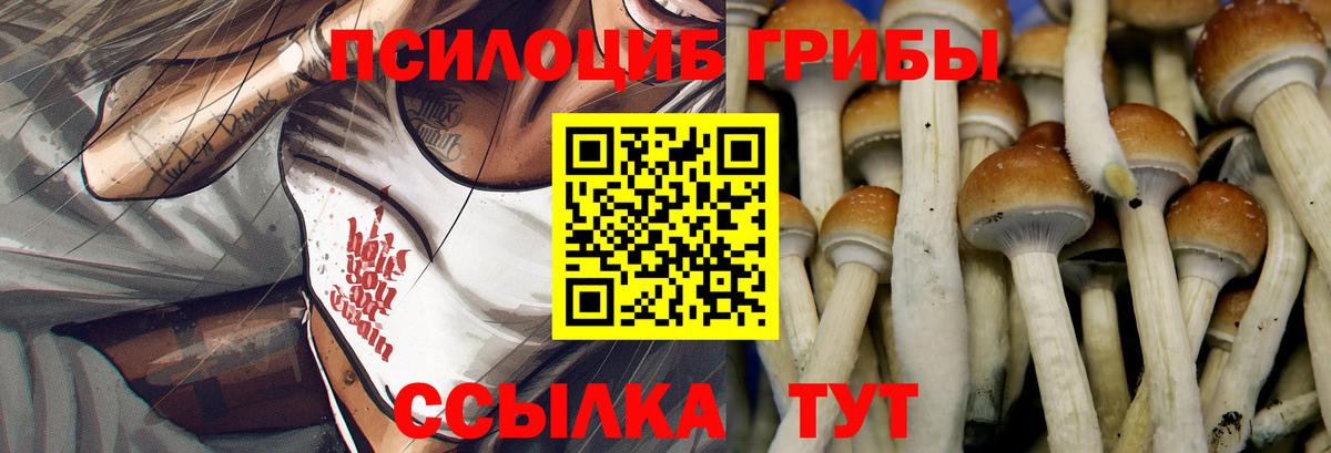 Галлюциногенные грибы Psilocybine cubensis  Вход с VPN  Зима 