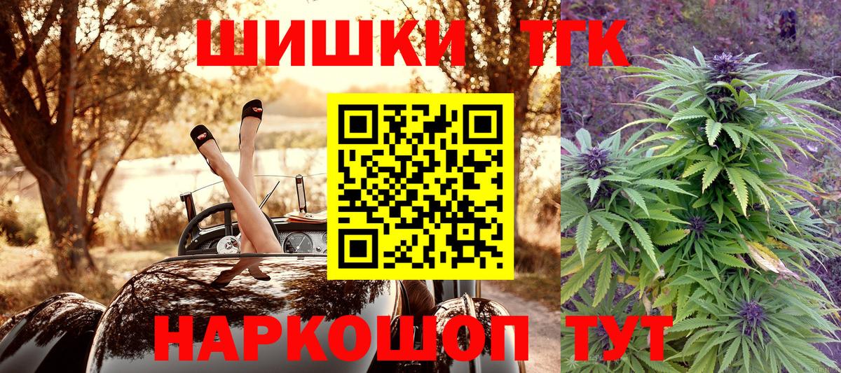 Конопля планчик Зима